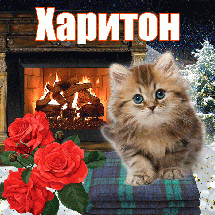 Харитон! Доброго зимнего вечера! Красивая открытка Харитону!