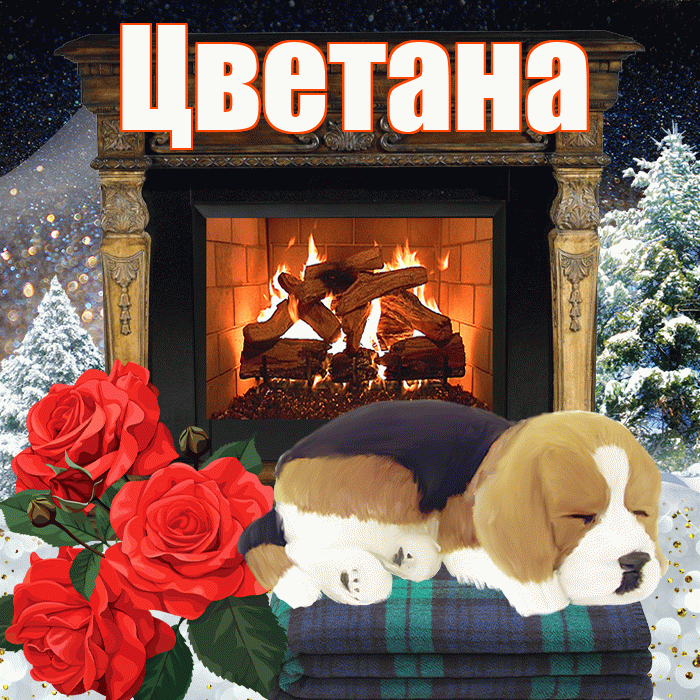 Цветана! Доброго зимнего вечера! Красивая открытка Цветане!