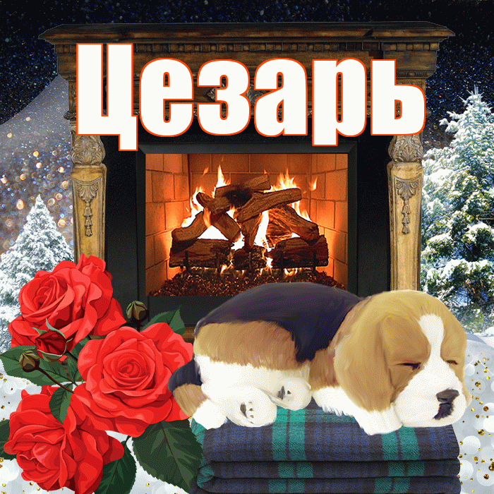 Цезарь! Доброго зимнего вечера! Красивая открытка Цезарю!