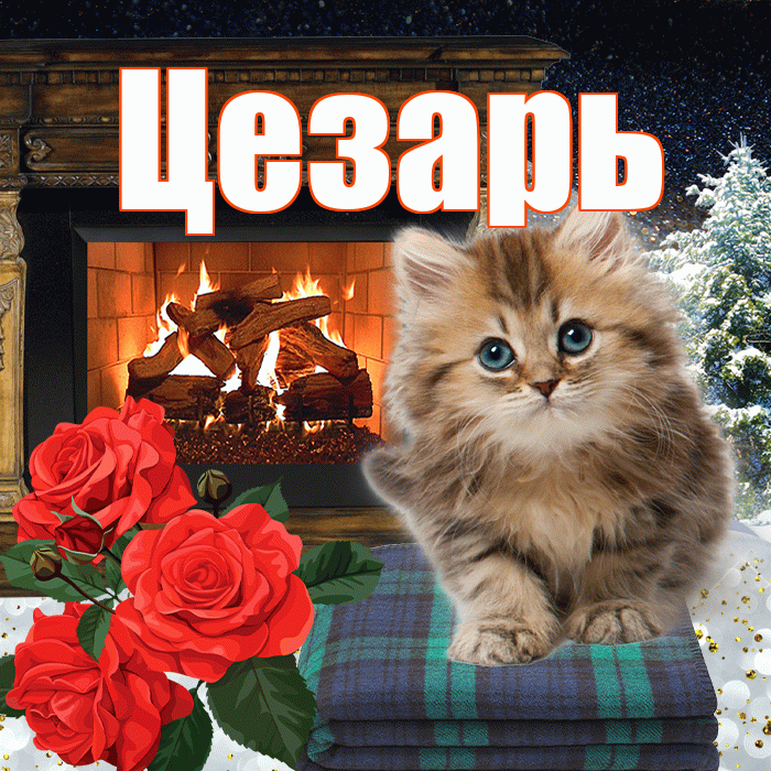 Цезарь! Доброго зимнего вечера! Красивая открытка Цезарю!