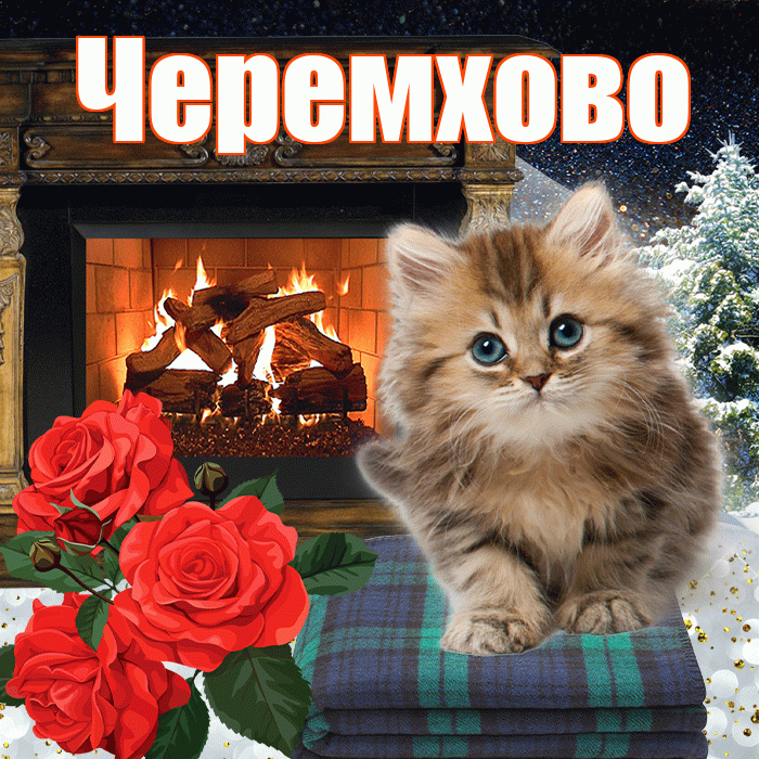 Черемхово! Доброго зимнего вечера! Красивая открытка Черемхово!