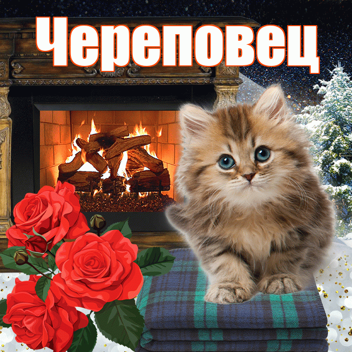 Череповец! Доброго зимнего вечера! Красивая открытка Череповецу!