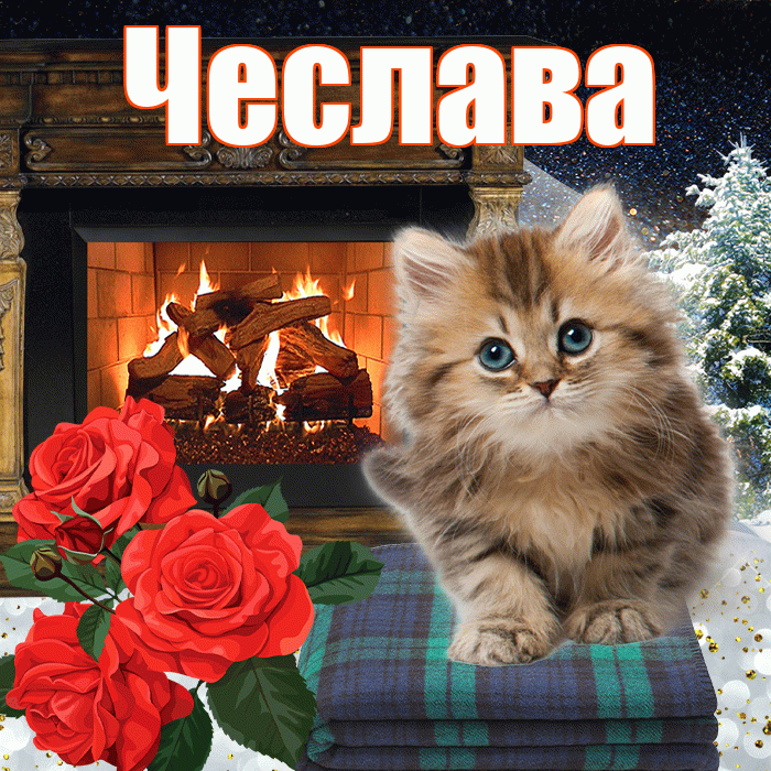 Чеслава! Доброго зимнего вечера! Красивая открытка Чеславовне!