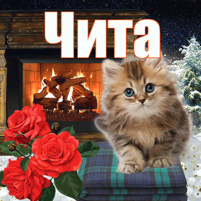 Чита! Доброго зимнего вечера! Красивая открытка Чите!