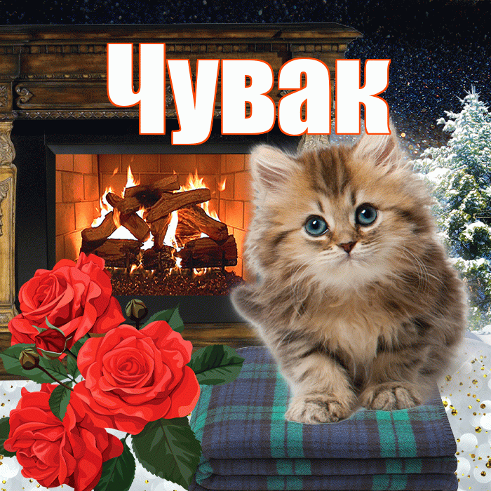 Чувак! Доброго зимнего вечера! Красивая открытка Чуваку!