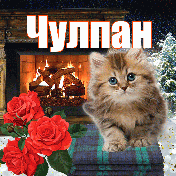 Чулпан! Доброго зимнего вечера! Красивая открытка ЧУЛПАН!