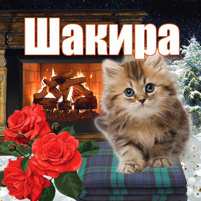 Шакира! Доброго зимнего вечера! Красивая открытка Шакиру!