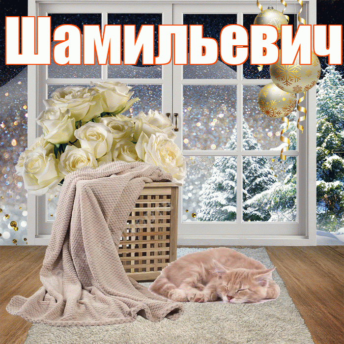 Шамильевич! Доброго зимнего вечера! Красивая открытка Шамильевичу!