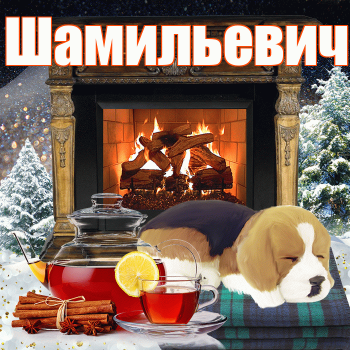 Шамильевич! Доброго зимнего вечера! Красивая открытка Шамильевичу!