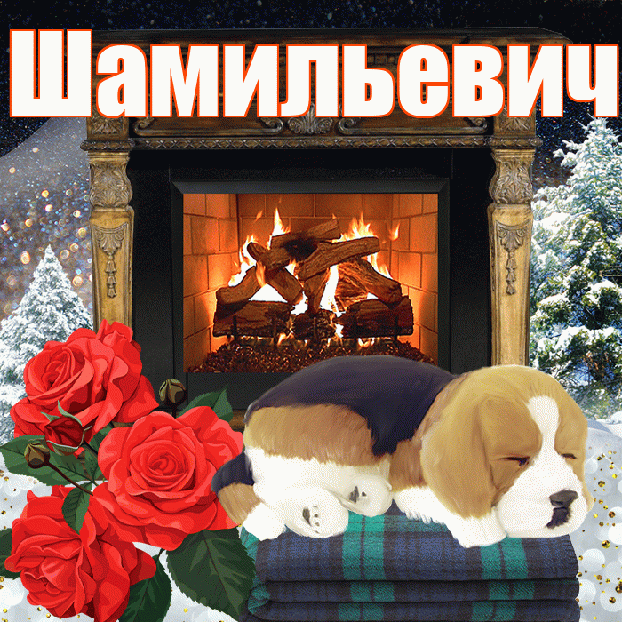 Шамильевич! Доброго зимнего вечера! Красивая открытка Шамильевичу!