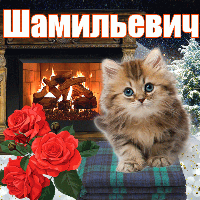 Шамильевич! Доброго зимнего вечера! Красивая открытка Шамильевичу!