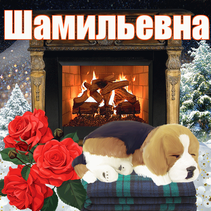 Шамильевна! Доброго зимнего вечера! Красивая открытка Шамильевне!