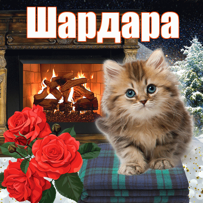 Шардара! Доброго зимнего вечера! Красивая открытка Шардаре!