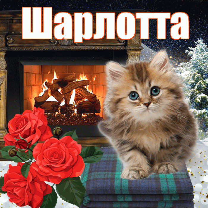 Шарлотта! Доброго зимнего вечера! Красивая открытка Шарлотте!