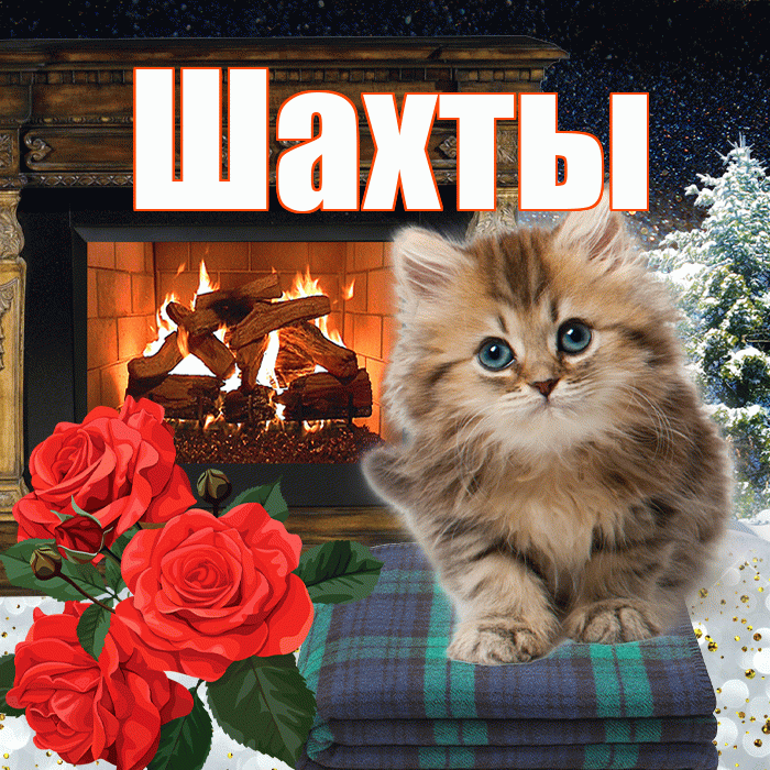 Шахты! Доброго зимнего вечера! Красивая открытка Шахты!
