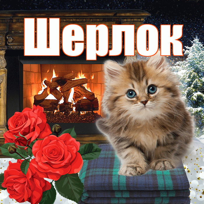 Шерлок! Доброго зимнего вечера! Красивая открытка Шерлоку!