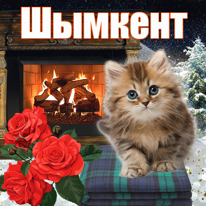 Шымкент! Доброго зимнего вечера! Красивая открытка Шымкенту!