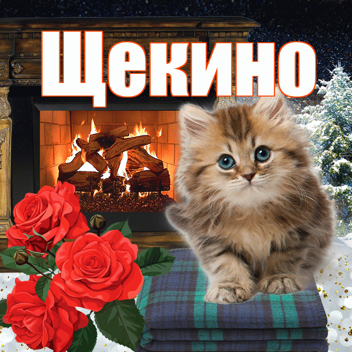 Щекино! Доброго зимнего вечера! Красивая открытка Щекино!