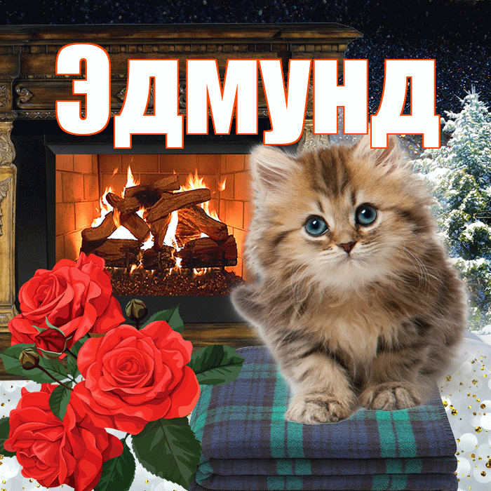 Эдмунд! Доброго зимнего вечера! Красивая открытка Эдмунду!