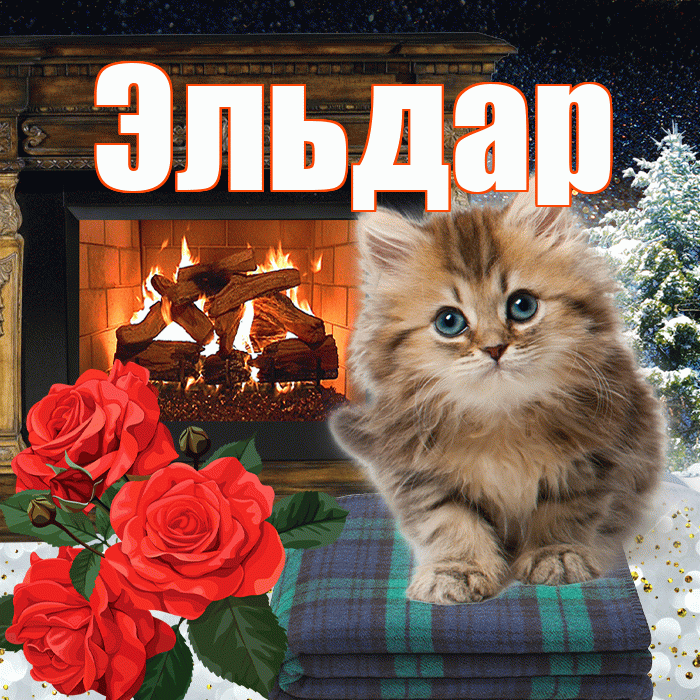 Эльдар! Доброго зимнего вечера! Красивая открытка Эльдару!