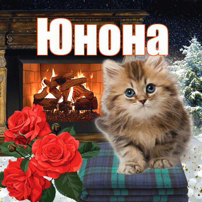Юнона! Доброго зимнего вечера! Красивая открытка Юноне!