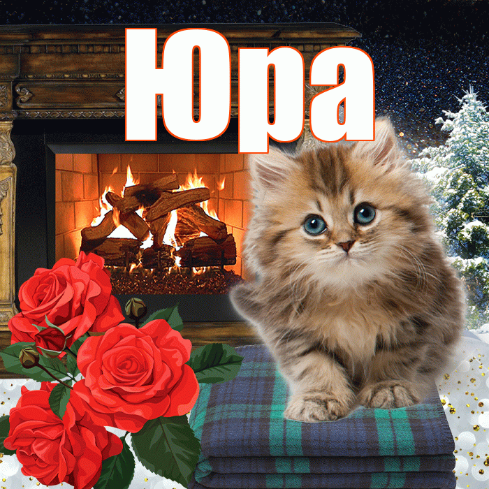 Юра! Доброго зимнего вечера! Красивая открытка Юру!