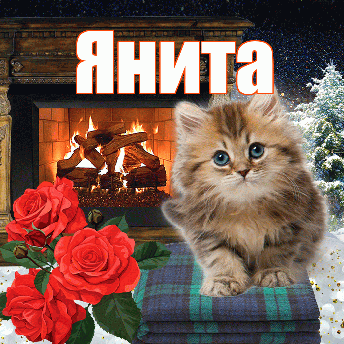 Янита! Доброго зимнего вечера! Красивая открытка Яните!