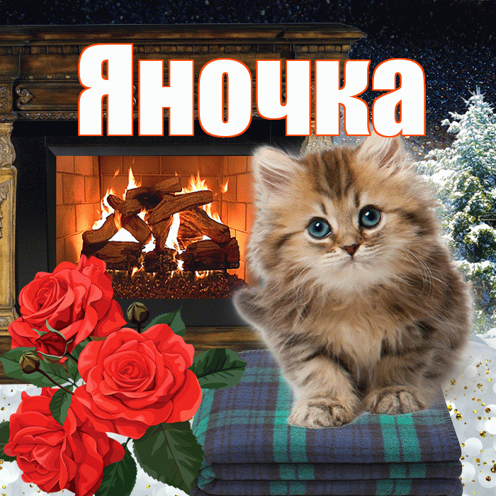 Яночка! Доброго зимнего вечера! Красивая открытка Яночке!
