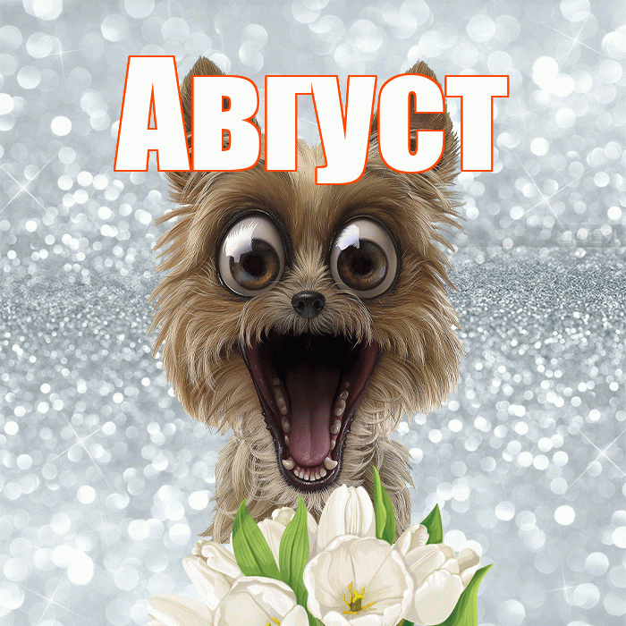 Август! Доброе утро! Красивая открытка Августу!