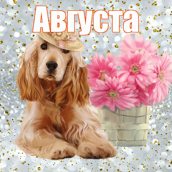 Августа! Доброе утро! Красивая открытка Августе!