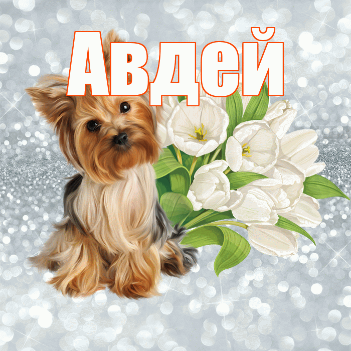 Авдей! Доброе утро! Красивая открытка Авдею!