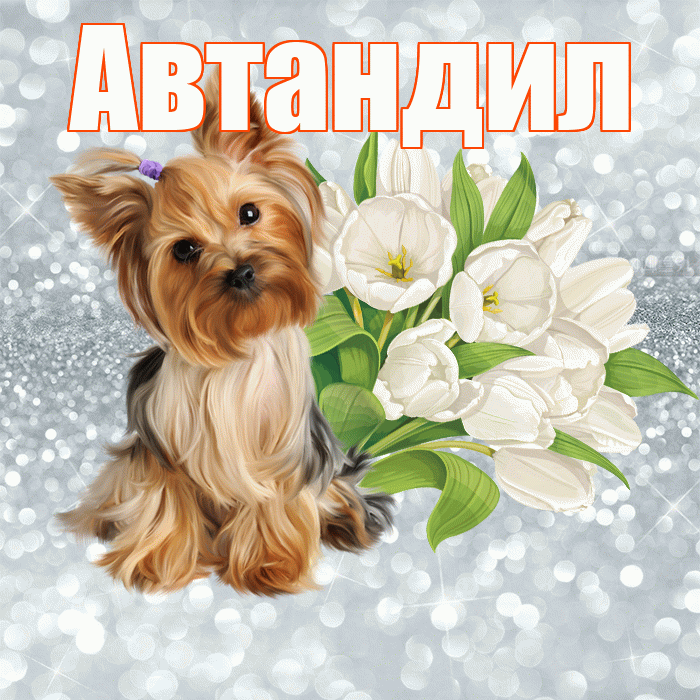 Автандил! Доброе утро! Красивая открытка Автандилу!