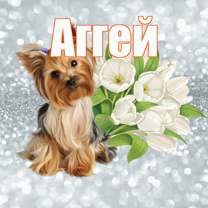 Аггей! Доброе утро! Красивая открытка Аггею!