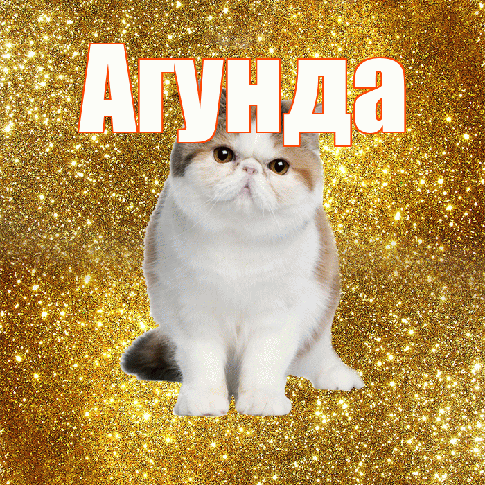 Агунда! Доброе утро! Красивая открытка Агунде!