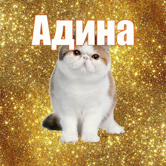 Адина! Доброе утро! Красивая открытка Адине!