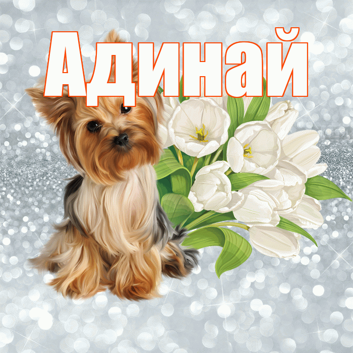 Адинай! Доброе утро! Красивая открытка Адинай!