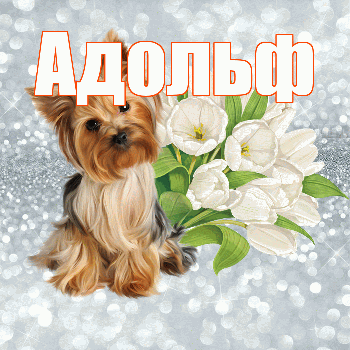 Адольф! Доброе утро! Красивая открытка Адольфу!