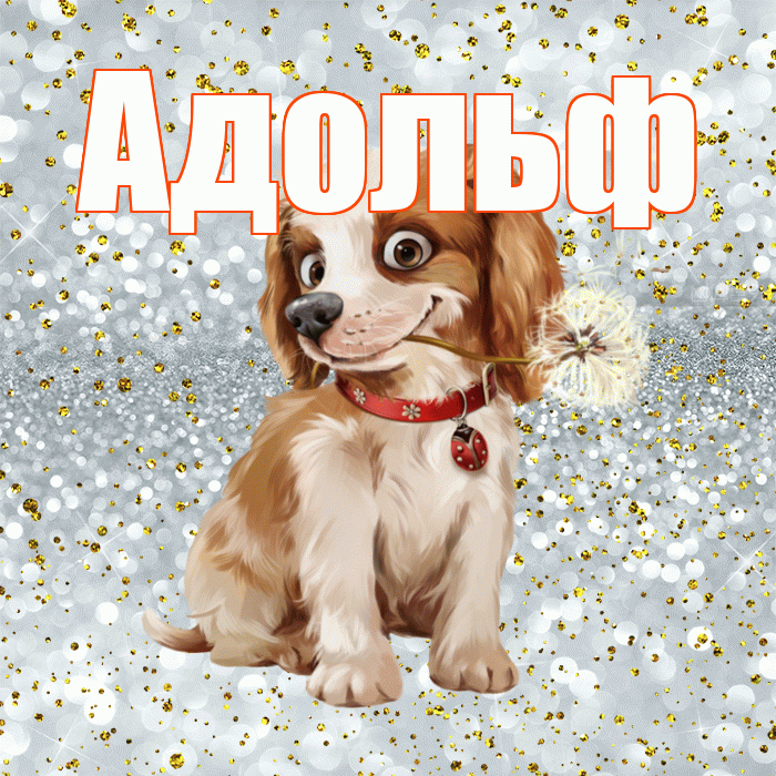 Адольф! Доброе утро! Красивая открытка Адольфу!