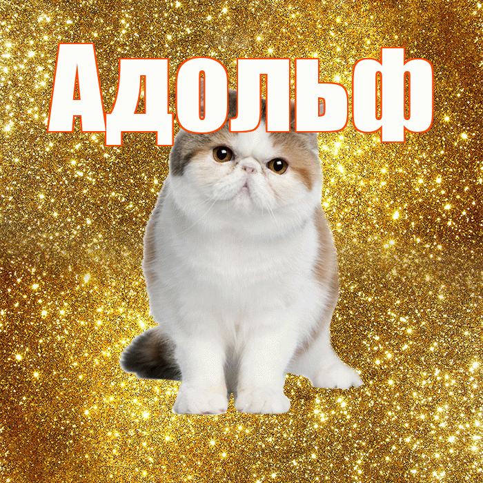 Адольф! Доброе утро! Красивая открытка Адольфу!