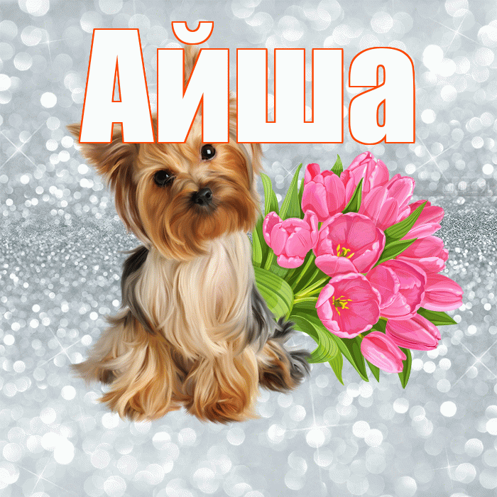 Айша! Доброе утро! Красивая открытка Айше!