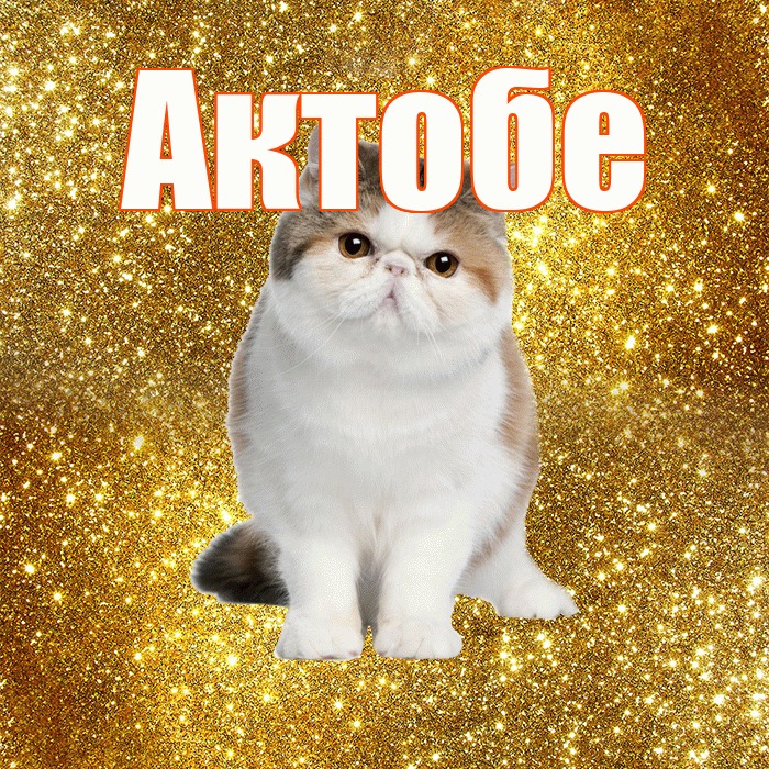 Актобе! Доброе утро! Красивая открытка Актобе!