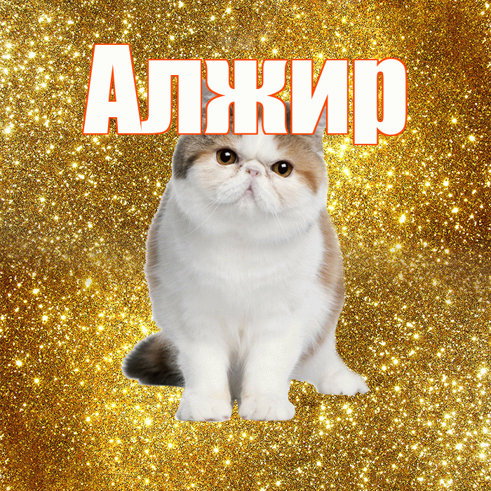 Алжир! Доброе утро! Красивая открытка Алжиру!