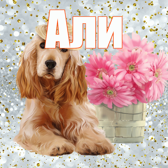 Али! Доброе утро! Красивая открытка Али!