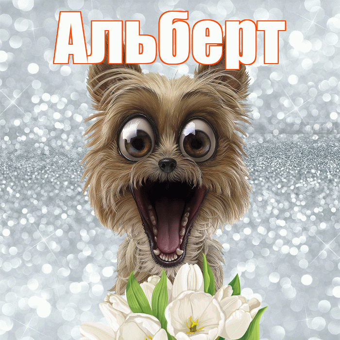 Альберт! Доброе утро! Красивая открытка Альберту!