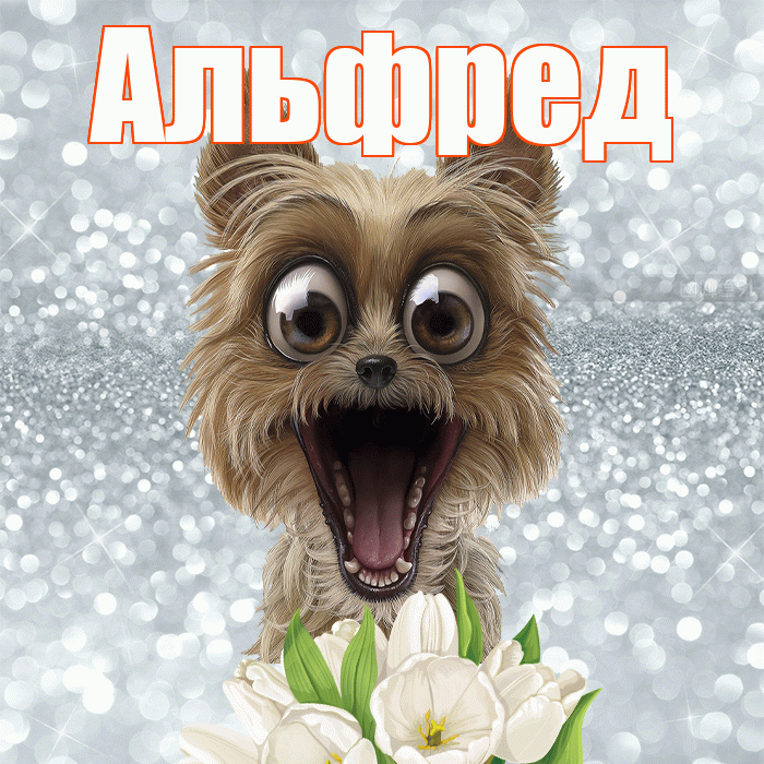 Альфред! Доброе утро! Красивая открытка Альфреду!