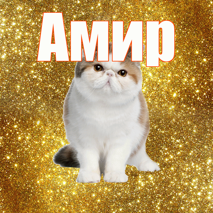 Амир! Доброе утро! Красивая открытка Амиру!