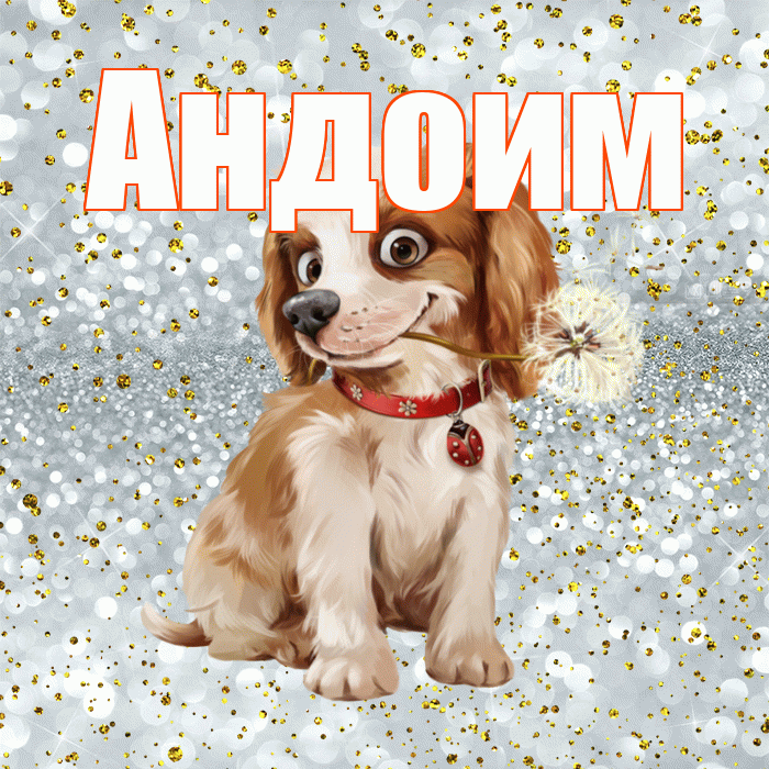 Андоим! Доброе утро! Красивая открытка Андоившему!