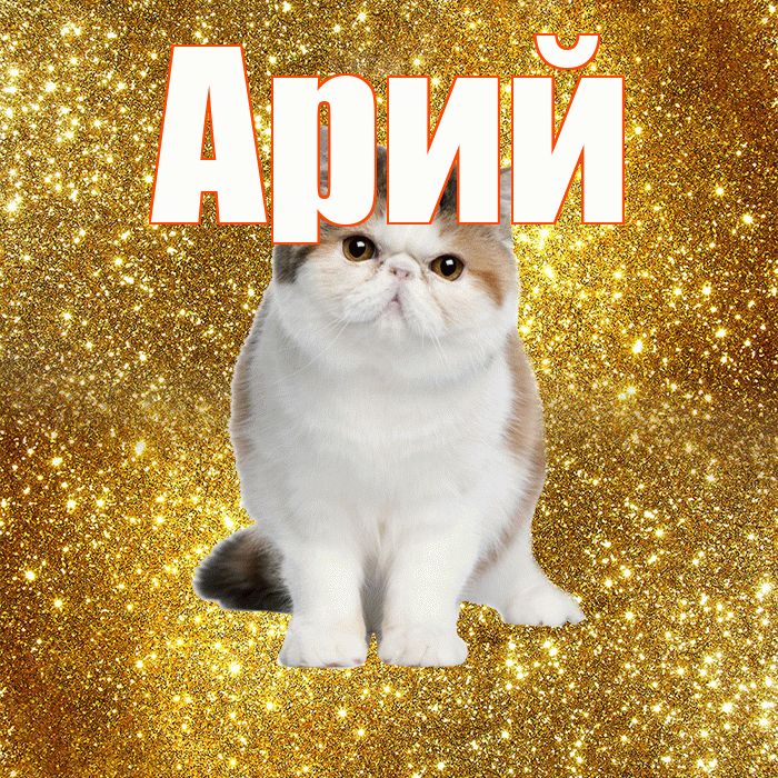 Арий! Доброе утро! Красивая открытка Арию!