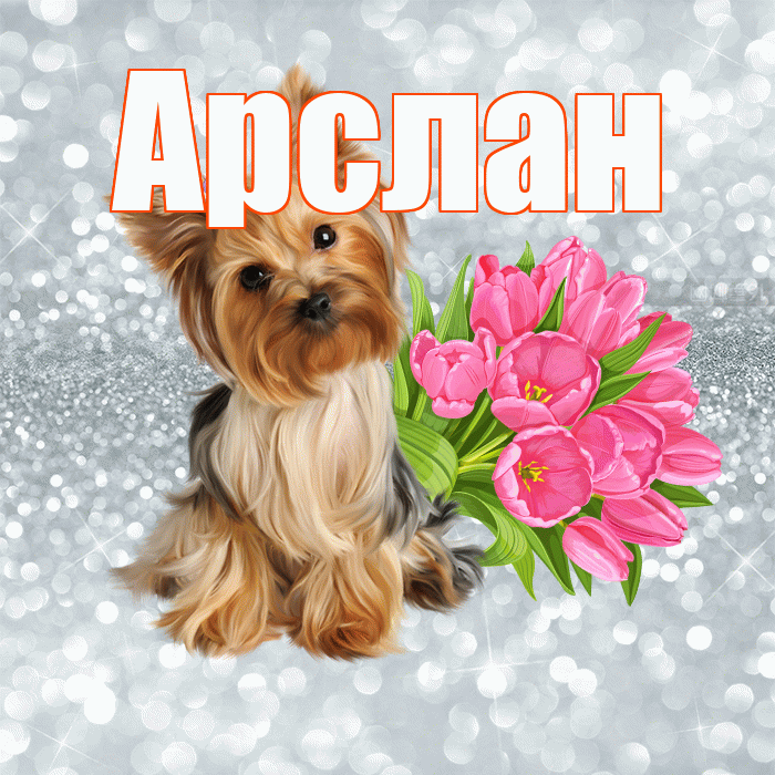 Арслан! Доброе утро! Красивая открытка Арслану!