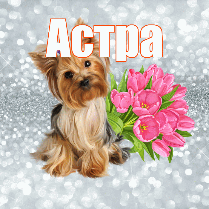 Астра! Доброе утро! Красивая открытка Астровне!